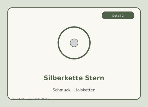 silberkette-stern-detail-2.jpg